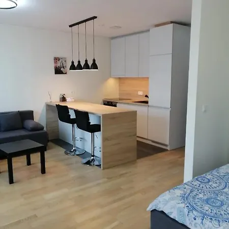 B23 Apartment Vilnius